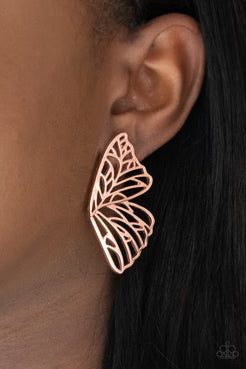 Butterfly Frills (1275)