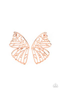 Butterfly Frills (1275)